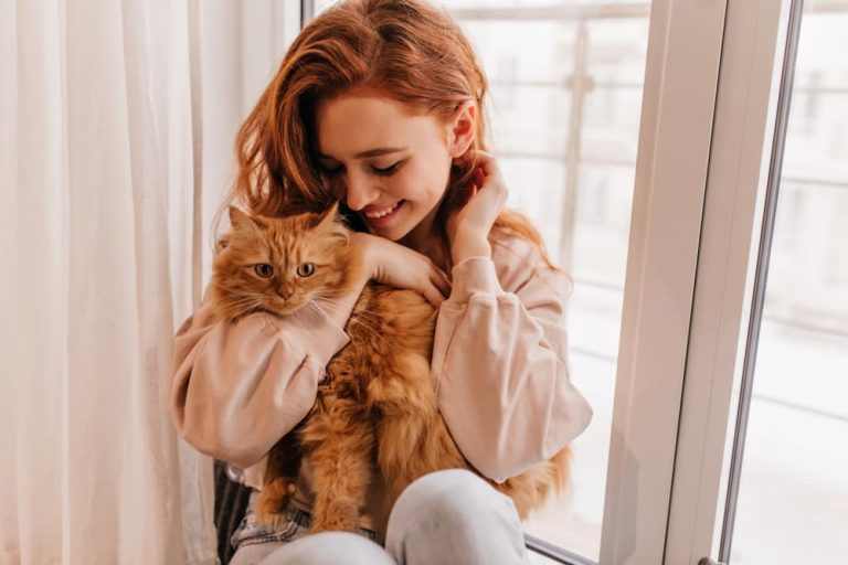 Owner holding cat in windowsill