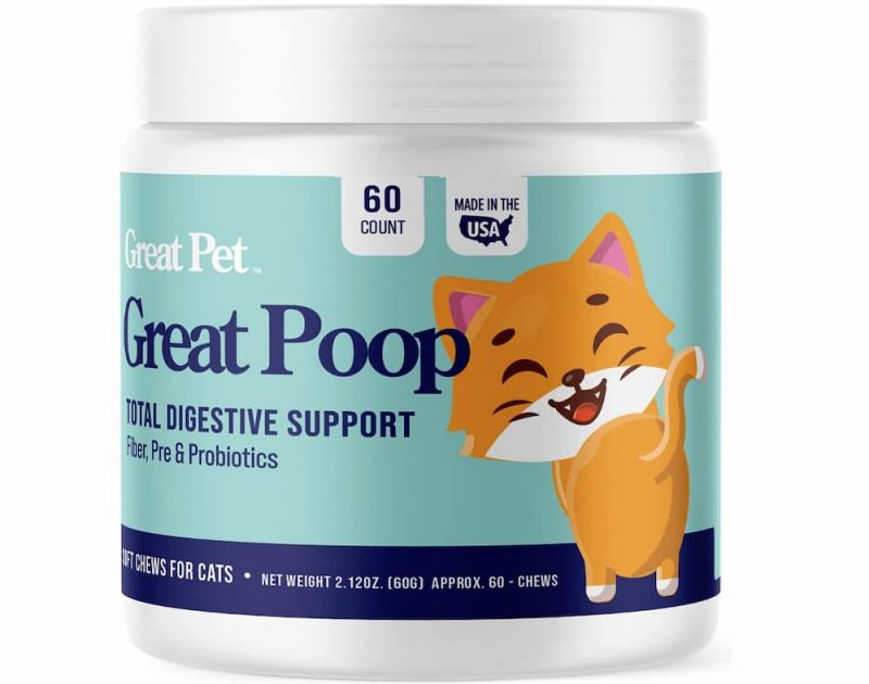 How Often Do Cats Poop? Great Pet Care