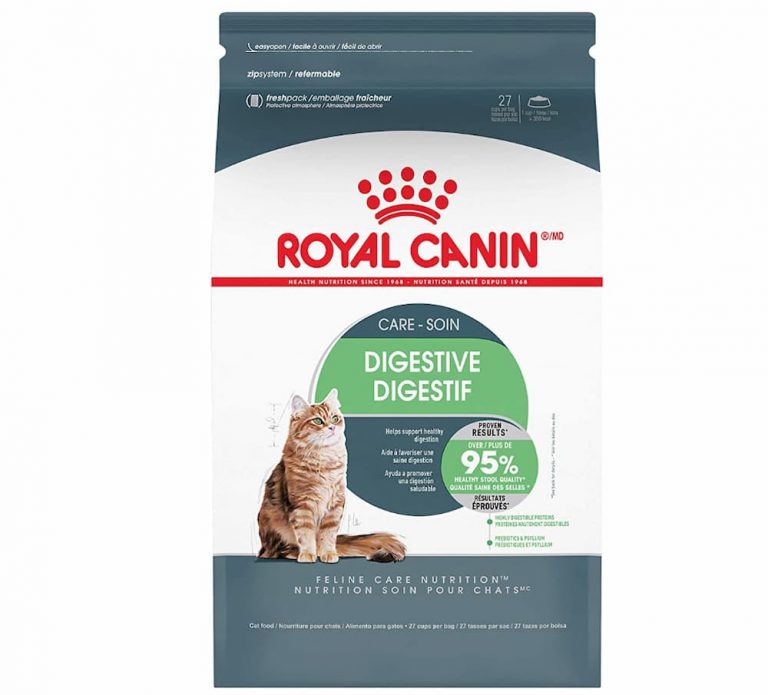 Yellow Cat Poop What Does It Mean? Great Pet Care