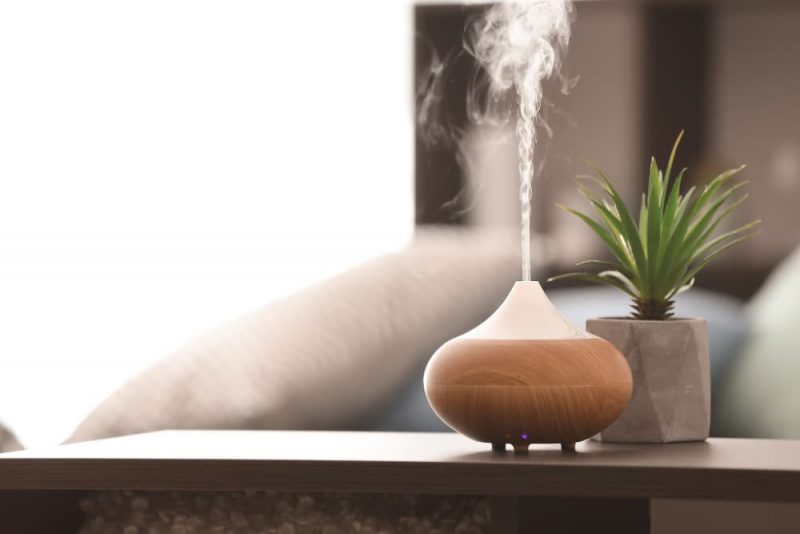 Are Essential Oils Safe for Cats? Great Pet Care