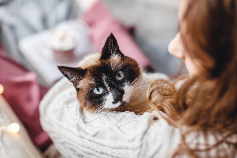 Woman hugging cat