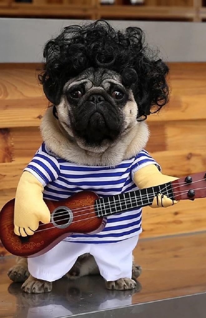 Top Halloween Pet Costumes of 2022