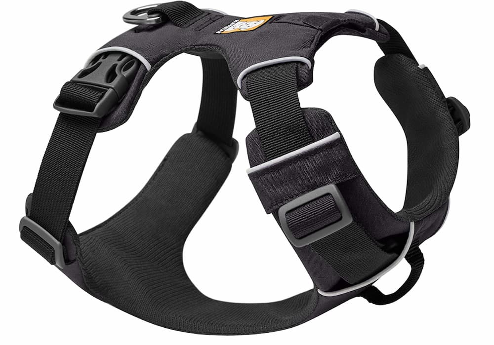 Dog camping gear 6 essentials you need to pack great pet care