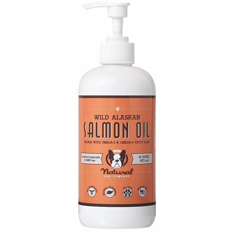 Omega 3 for Dogs 6 Supplements to Try Great Pet Care