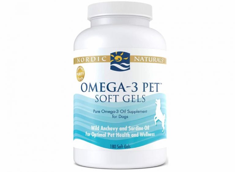 Omega 3 for Dogs 6 Supplements to Try Great Pet Care