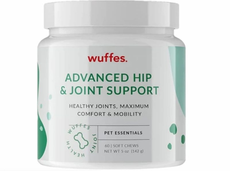 Omega 3 for Dogs 6 Supplements to Try Great Pet Care