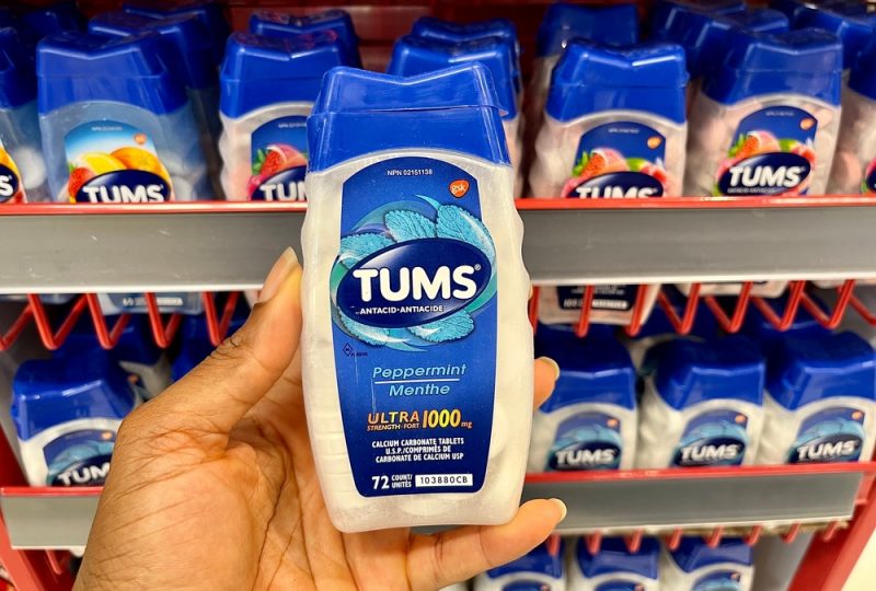 Can Dogs Have Tums? Great Pet Care