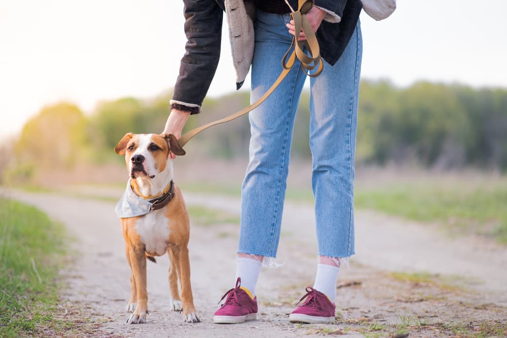 Lady walking dog on leash