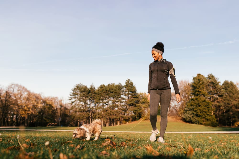 Owner walking in the park with their dog