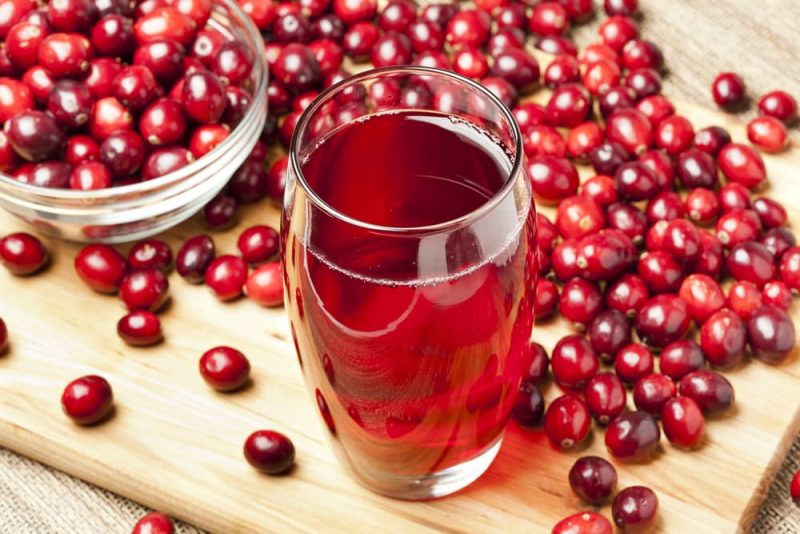 Can Dogs Eat Cranberries? Great Pet Care