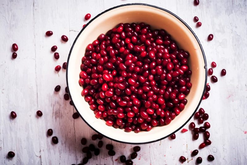 Can Dogs Eat Cranberries? Great Pet Care