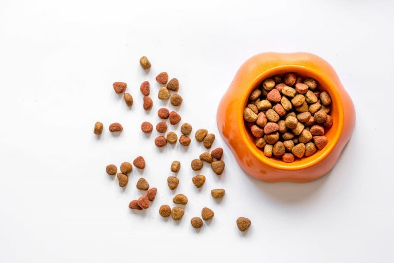 11 Best Dog Foods for Allergies in 2023 Great Pet Care