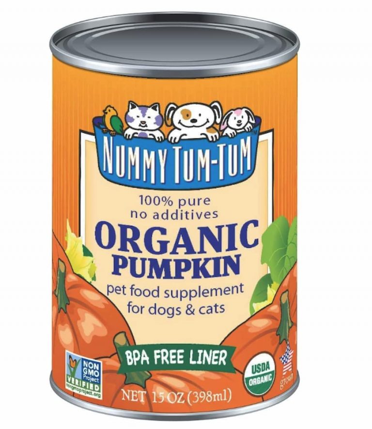 Canned Pumpkin for Dogs 9 Ways to Use It Great Pet Care