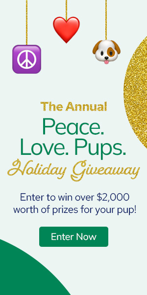 Holiday Giveaway 2022 – more sections