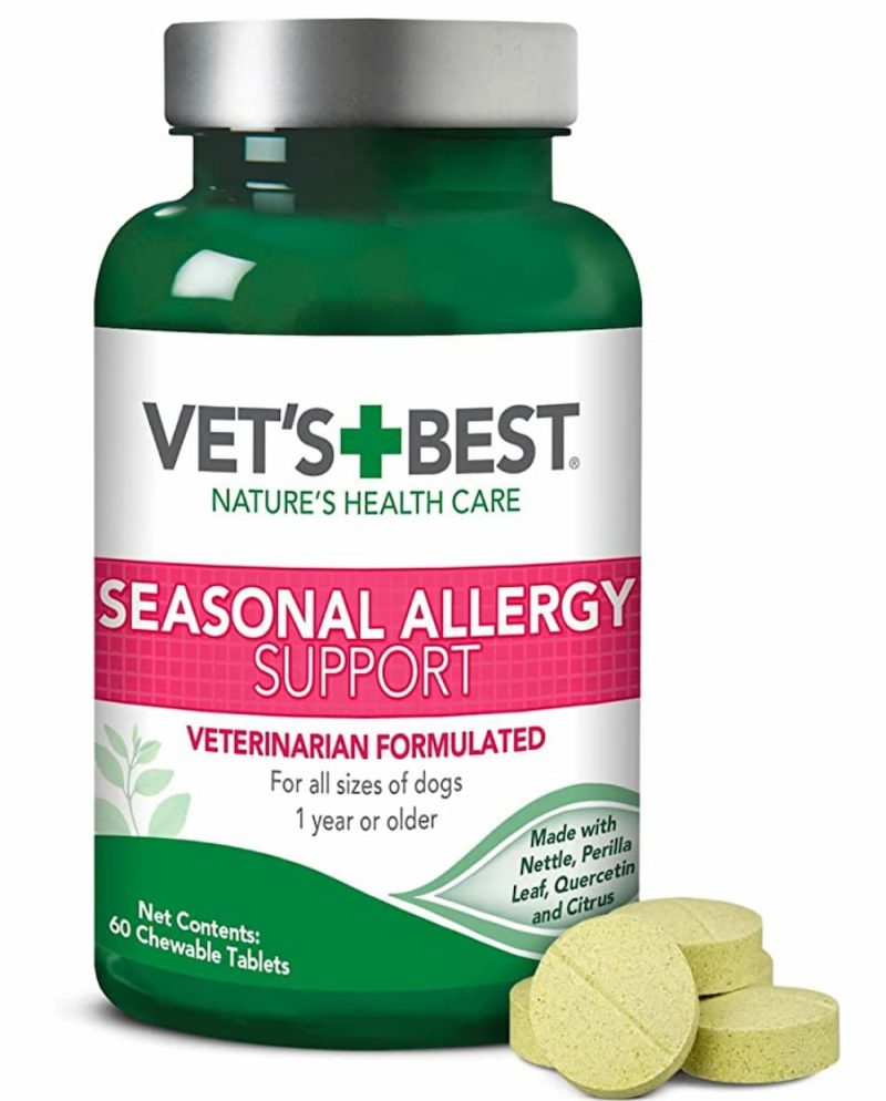 Quercetin for Dogs Uses and Benefits Great Pet Care