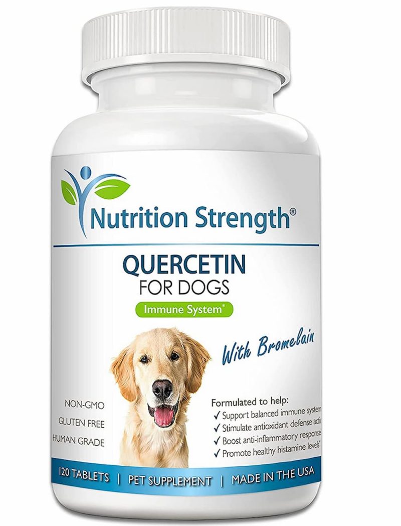 Quercetin for Dogs Uses and Benefits Great Pet Care
