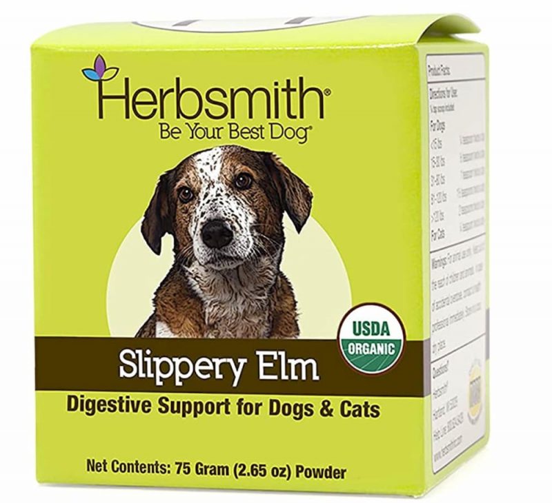 Slippery Elm for Dogs Benefits and Uses Great Pet Care