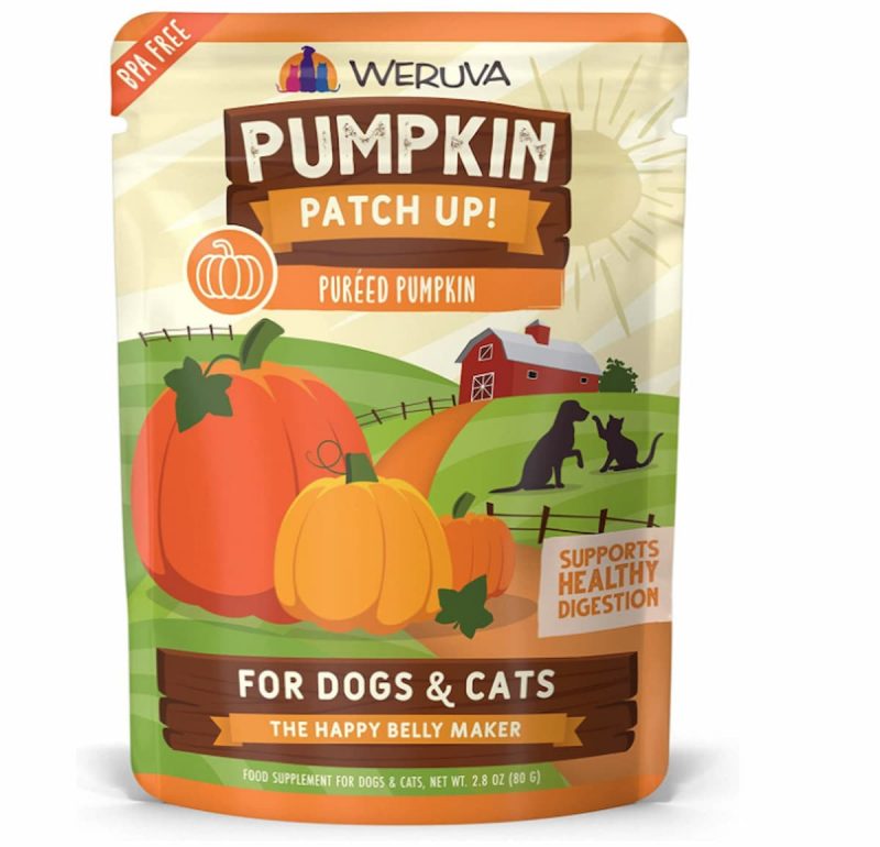 Canned Pumpkin for Dogs 9 Ways to Use It Great Pet Care