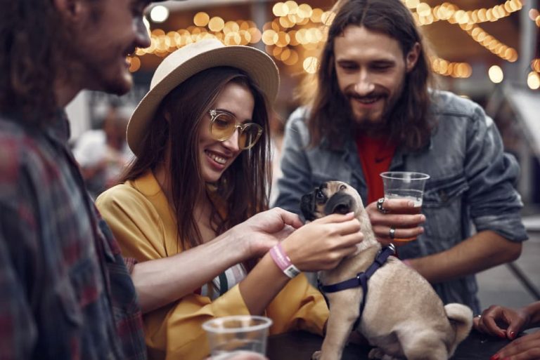 People drinking beer and looking at cute dog