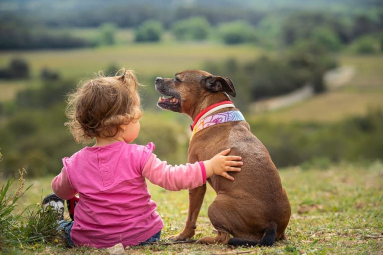 child and dog outside