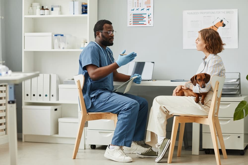 Dog owner talking with veterinarian