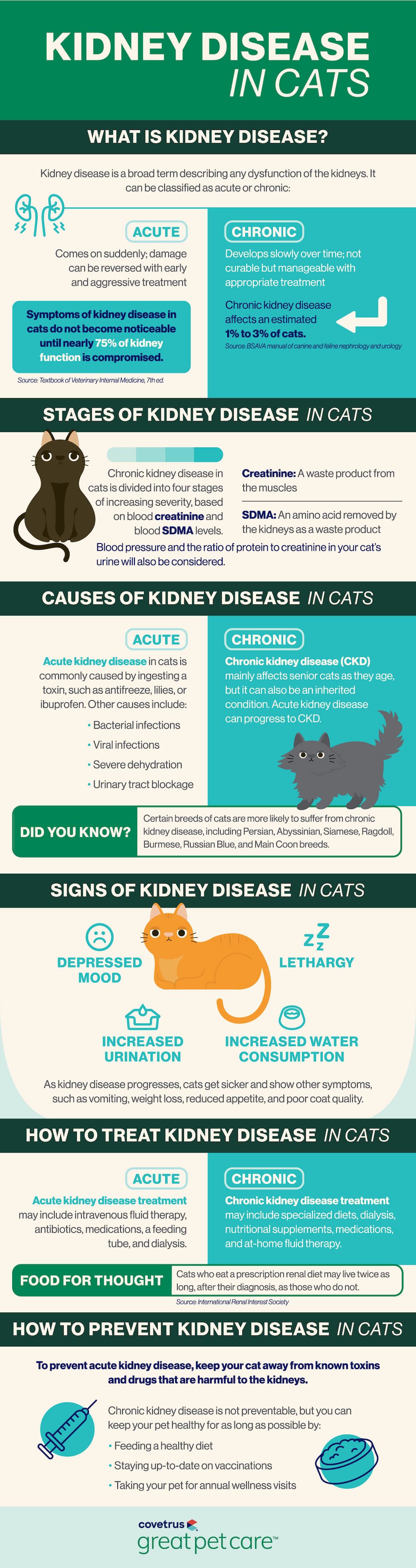 Kidney Disease in Cats Great Pet Care