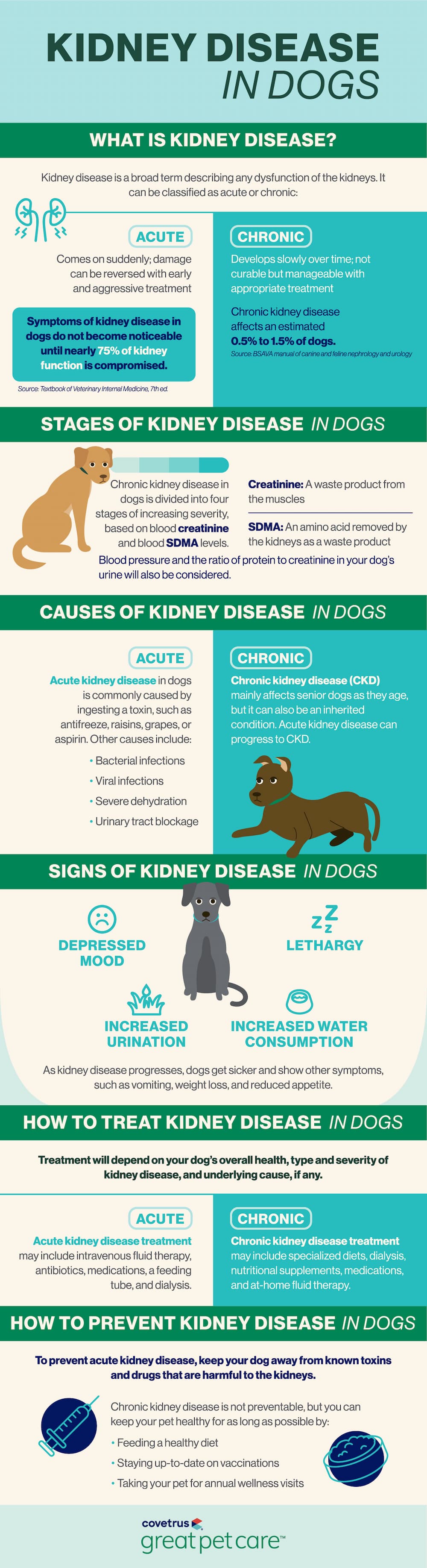 what causes kidney inflammation in dogs