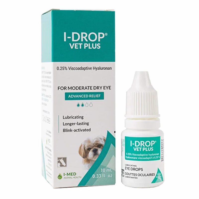 Eye Drops for Dogs Types and How to Use Them Great Pet Care