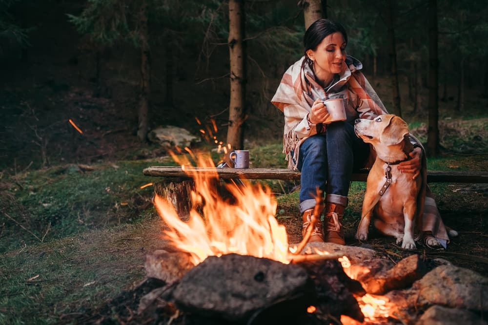 Dog camping with owner