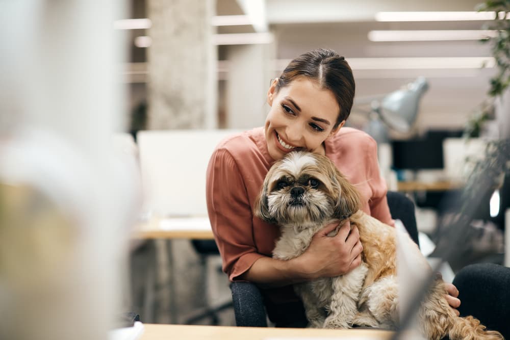 Dog being held by owner