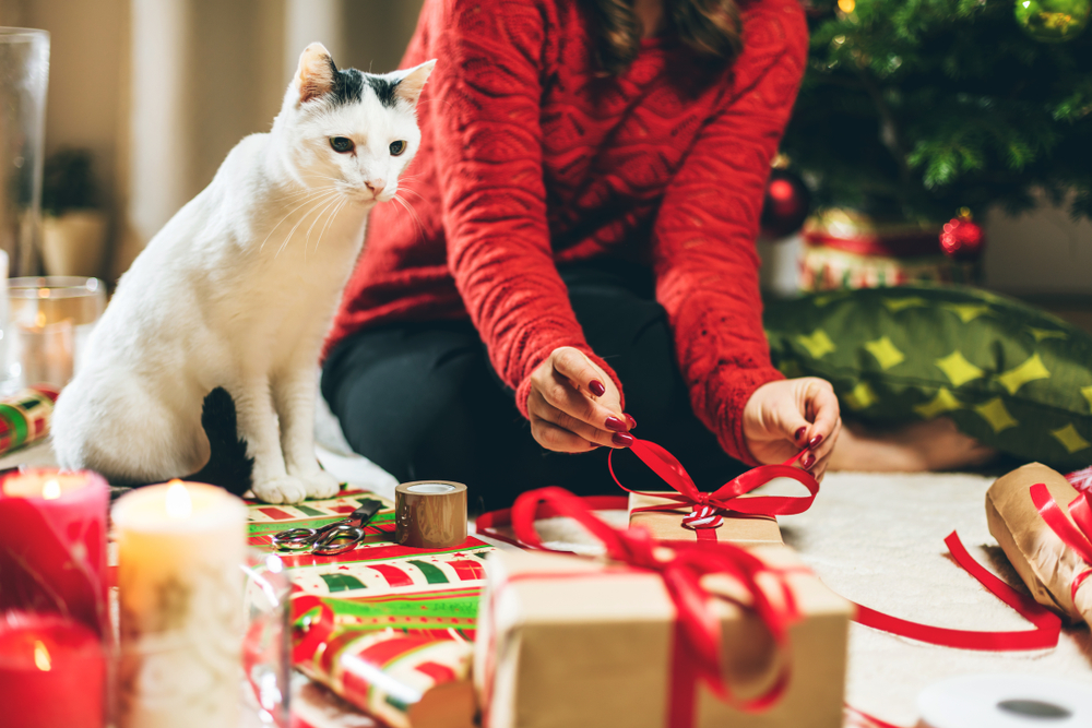 11 Best Cat Lovers’ Gifts for Giving in 2023 11 Best Cat Lovers’ Gifts for Giving in 2023
