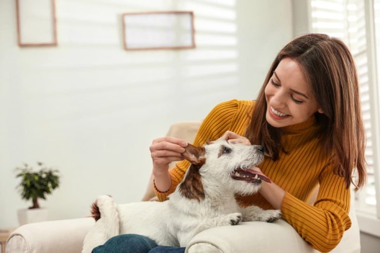 Giving dogs shop vitamin c