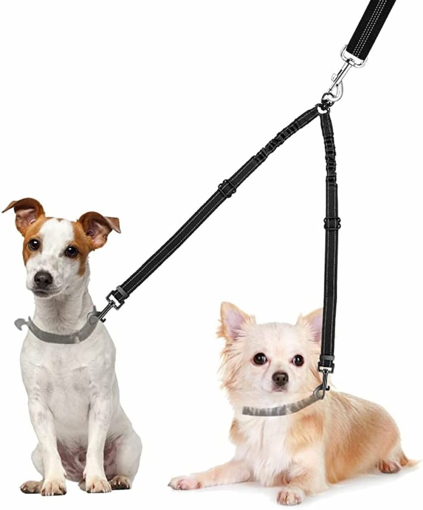 Best Tandem Dog Leash | atelier-yuwa.ciao.jp