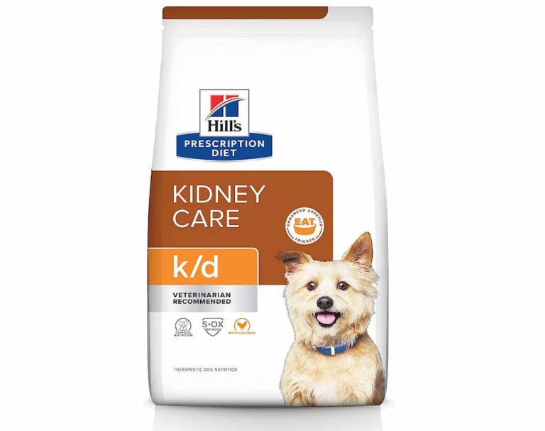 Dog Food for Kidney Disease 3 Diets to Consider Great Pet Care