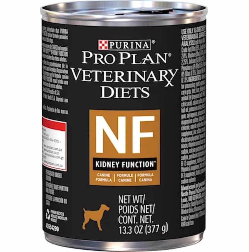 Dog Food for Kidney Disease: 3 Diets to Consider | Great Pet Care