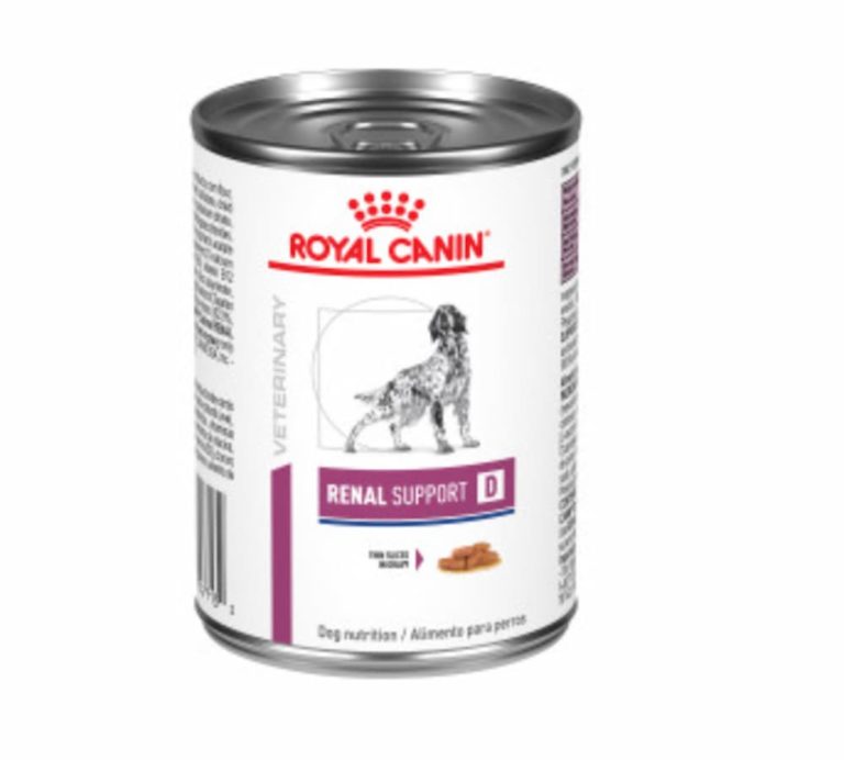 Dog Food for Kidney Disease 3 Diets to Consider Great Pet Care