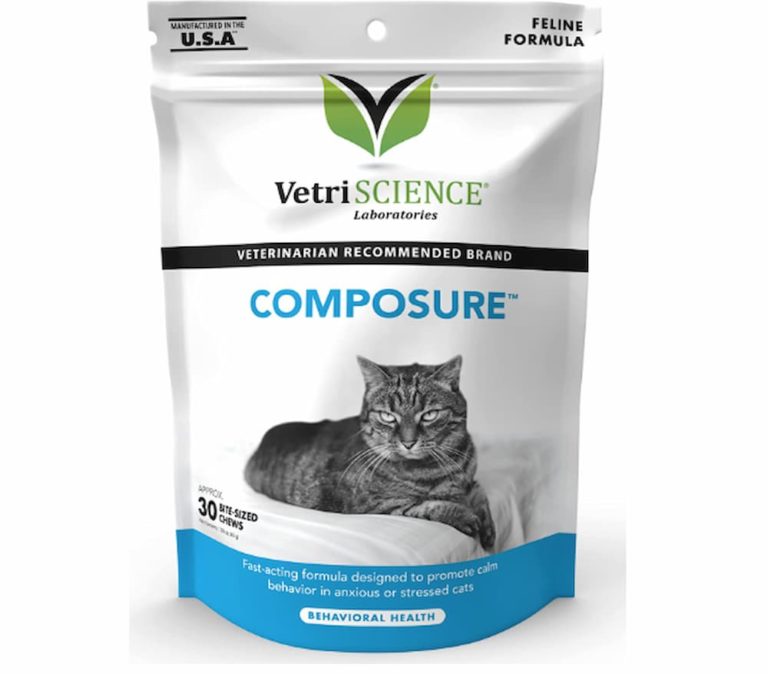 6 VetApproved Cat Sedatives for Travel Great Pet Care