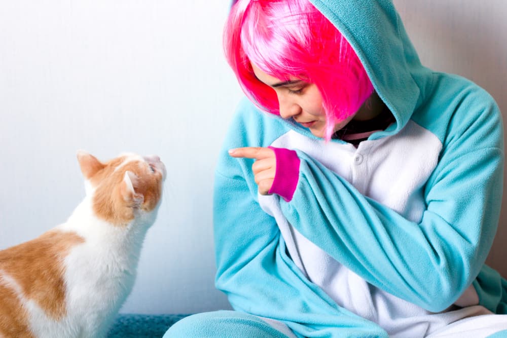 Girl with pink hair and cat