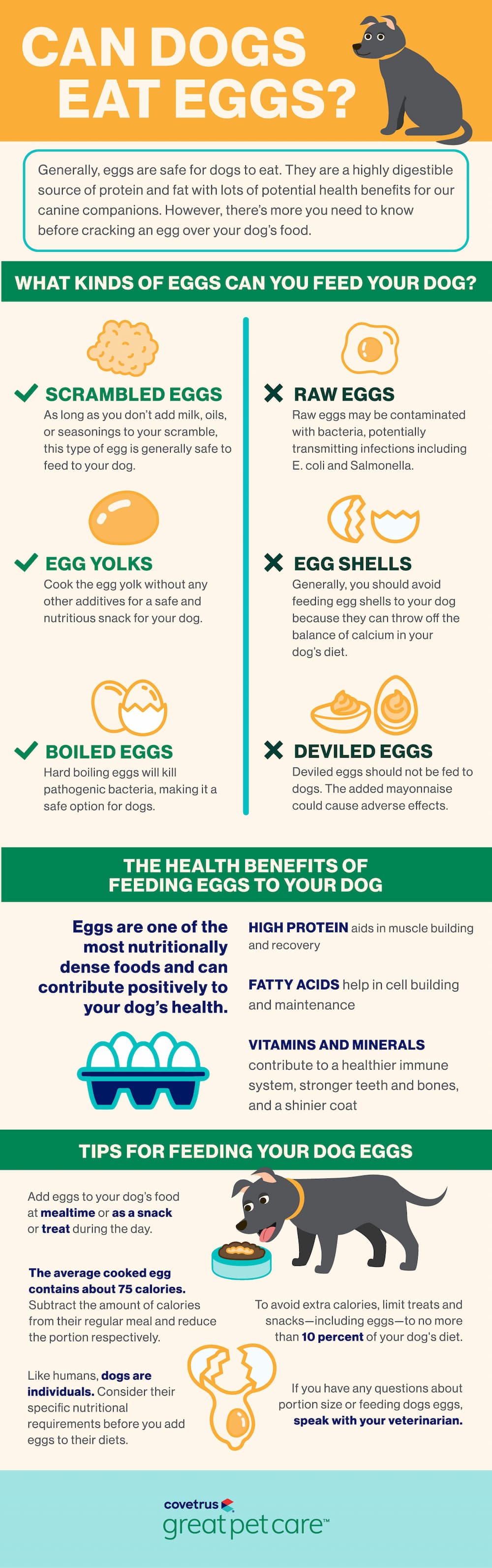 Is raw egg 2025 bad for dogs