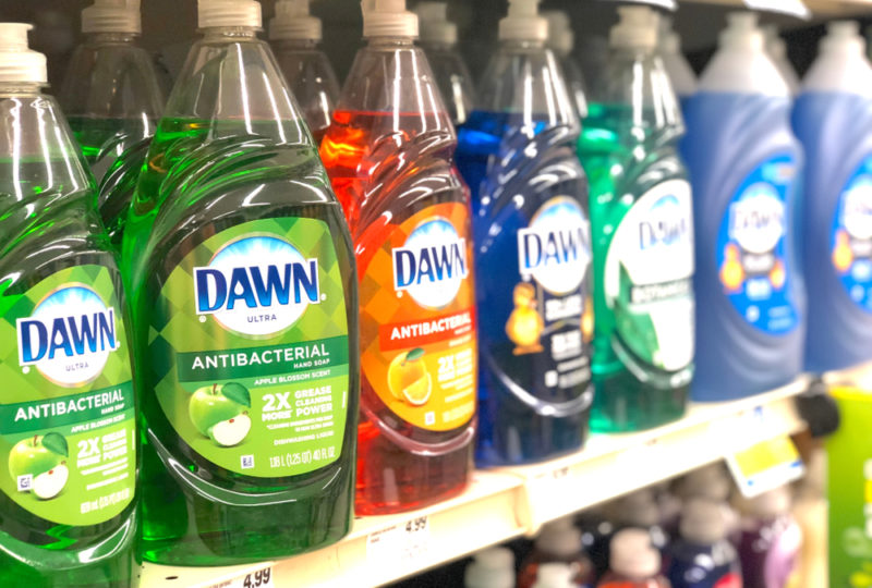 Dawn Dish Soap for Fleas Does It Work? Great Pet Care