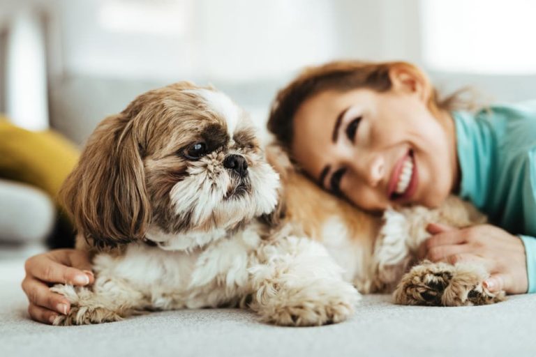 Happy owner with cute dog at home