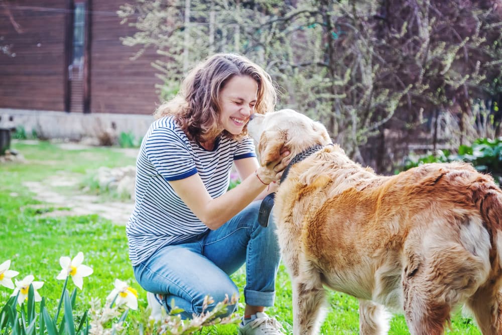 Woman showing old dog love