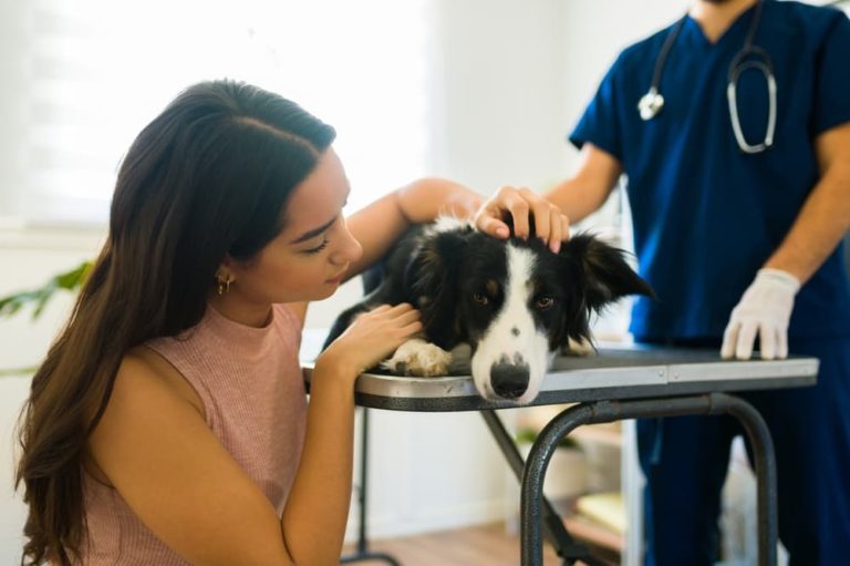 Woman saying goodbye to dog