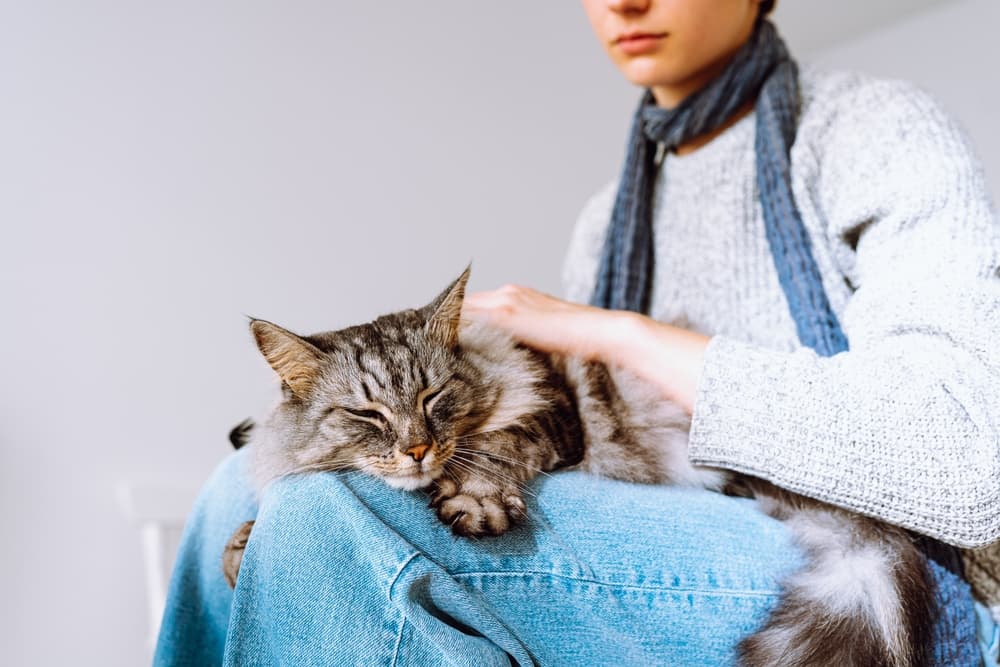 Woman comforting sick cat