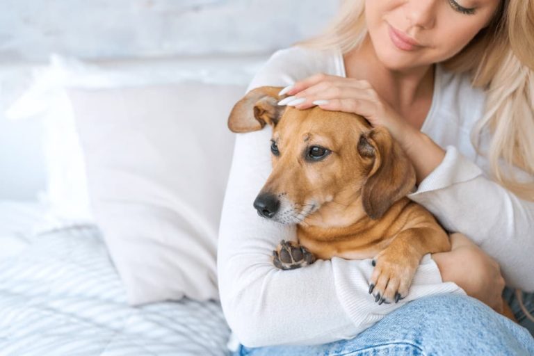 Woman hugging senior dachshund