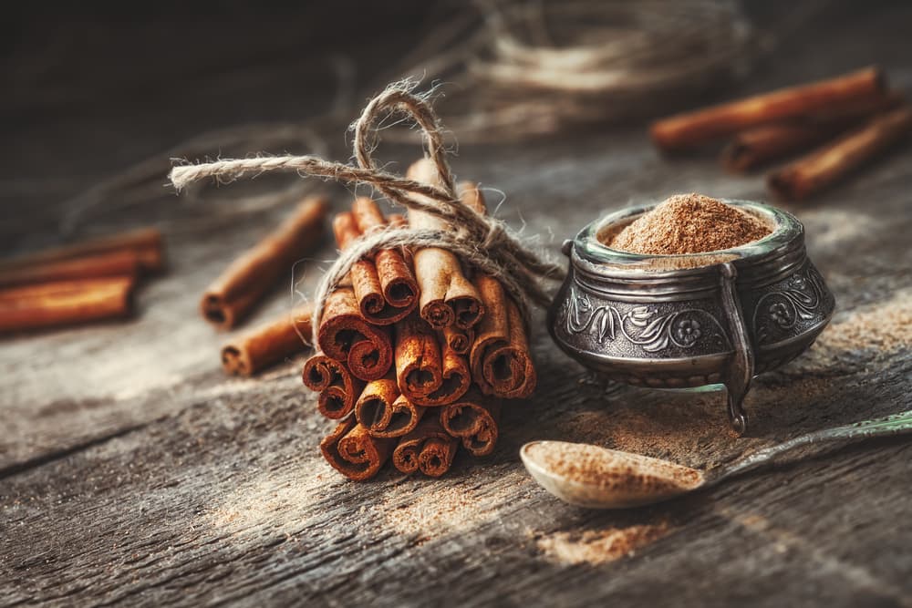 Can Dogs Have Cinnamon? Great Pet Care
