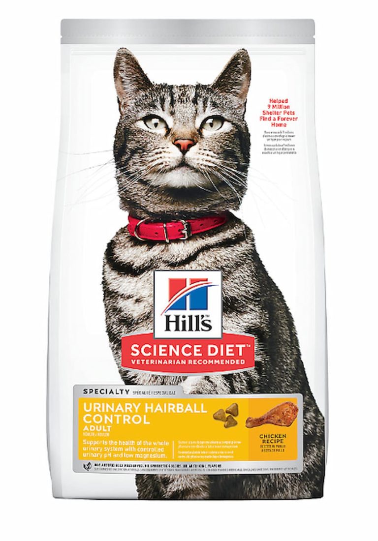 Hill's Science Diet Dry Cat Food Review Nutrition That Fits Your
