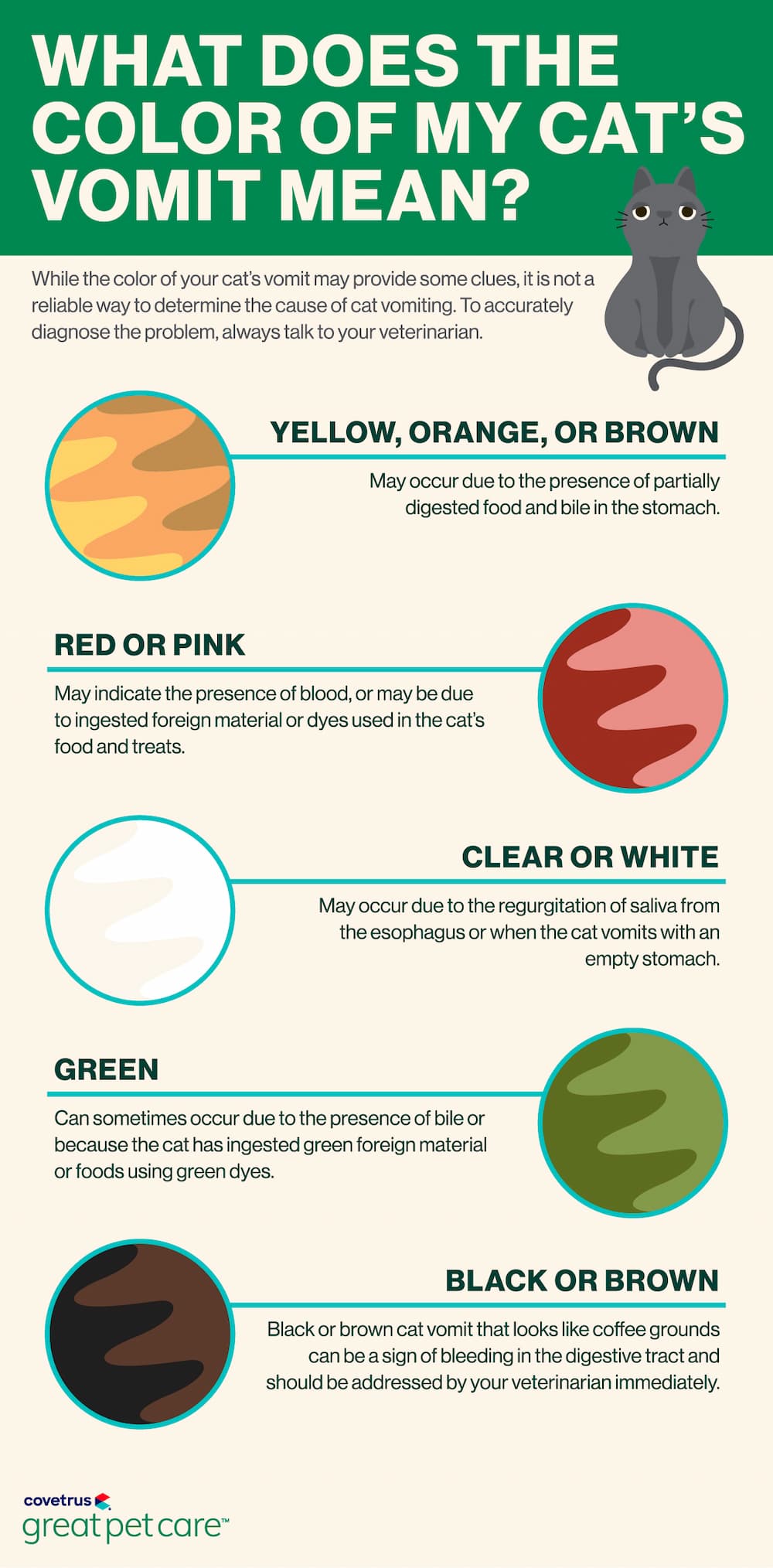 Cat Vomit Color Chart