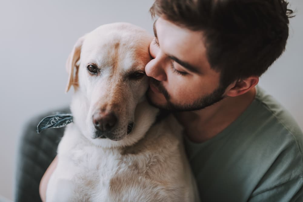 Man hugging old dog