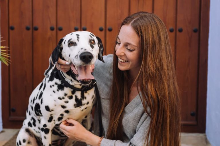 Curated visual reference: Picture Idea: Kidney Stones In Dogs Causes And Treatment
